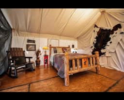 Pet Friendly Wild West  Luxury Glamping tent