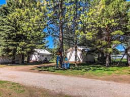 Pet Friendly Zen Luxury Glamping tent