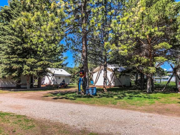 Pet Friendly Zen Luxury Glamping tent