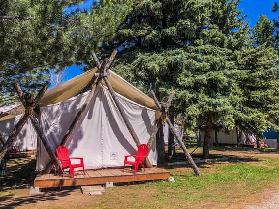 Pet Friendly Zen Luxury Glamping tent