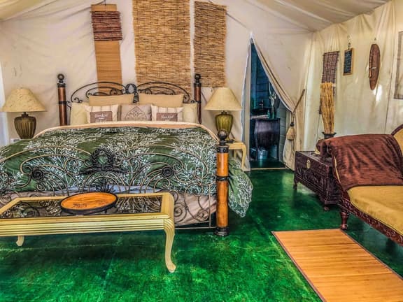 Pet Friendly Zen Luxury Glamping tent